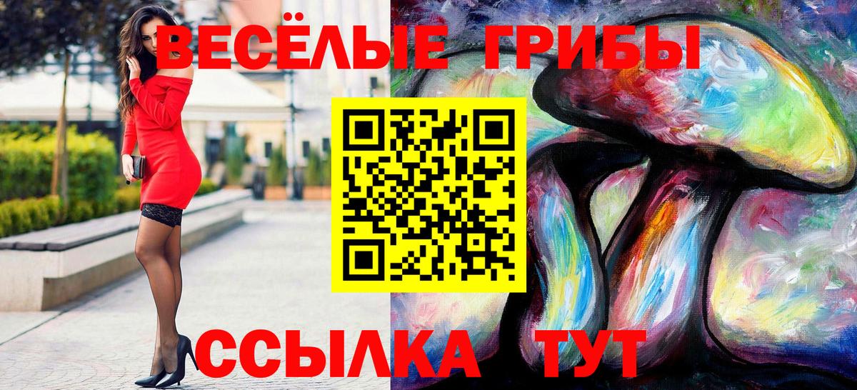 Псилоцибиновые грибы Psilocybe Кизилюрт