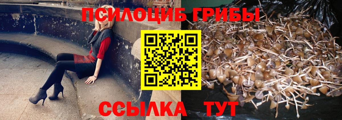 Кизилюрт  Галлюциногенные грибы GOLDEN TEACHER  магазин    Вход с VPN 